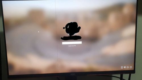 6464407.jpg
