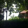 Avatar wendes.pereira