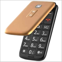Celular Flip Vita Dual Chip MP3 Dourado Multilaser - P9043 - R$149