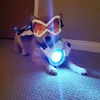 Avatar gamemaster_
