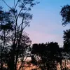 raag83