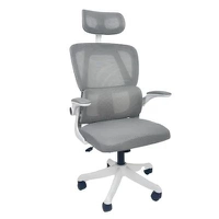 Cadeira Presidente Legacy Cinza + E-book