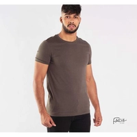 Camiseta masculina básica hering regular - verde
