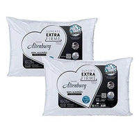 Kit 2 Travesseiros Altenburg Firme 50x70cm