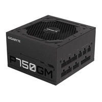 Fonte Gigabyte P750GM Full Modular 750W 80 Plus Gold, GP-P750GM