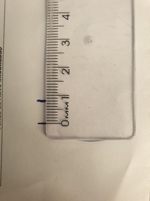 4705688.jpg