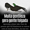 Avatar jaodaspromocao