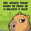 Avatar david.santoss9z