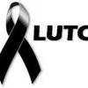 Avatar luisbonne