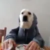 auau