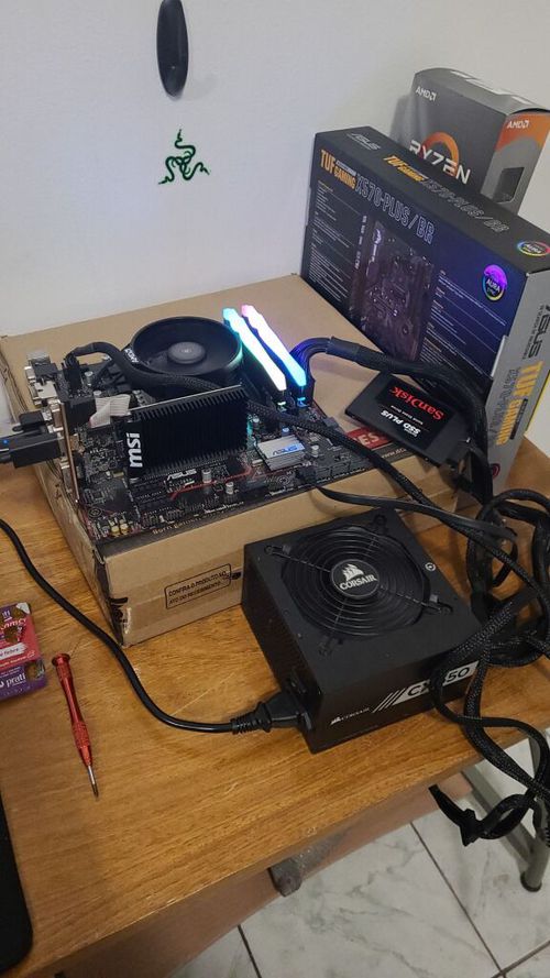 7208094.jpg