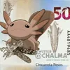 Avatar axoloteliso
