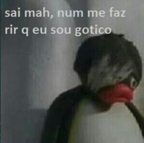 WL1TIXG9.jpg