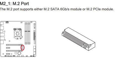 6404717-dWODZ.jpg