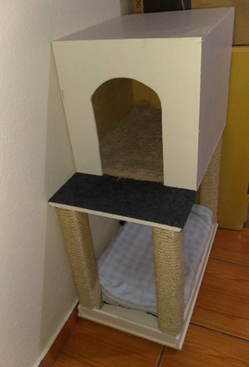 Imagem do comentário