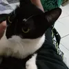 Avatar faviofilho