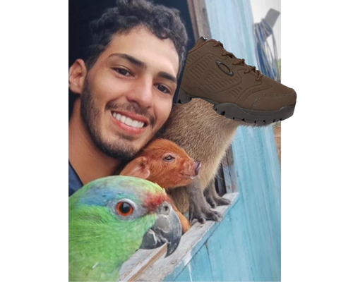 Imagem do comentário