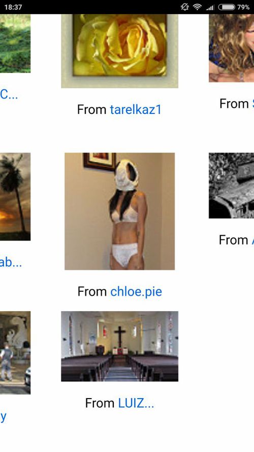 3139434-XMFMW.jpg