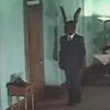Avatar jvrhz