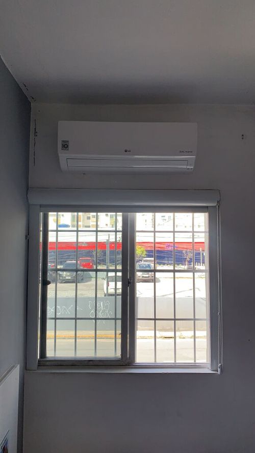 7011624-bMLCs.jpg