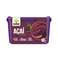 [Leve 2 Pague 1] Sorvete Mãe Terra Açai premium pote 1,5l
