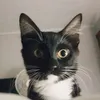Avatar suzanaschultzpenz