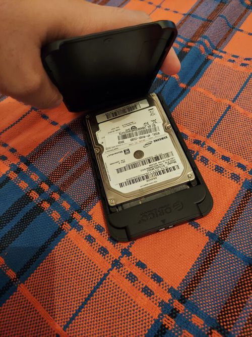 6964594.jpg