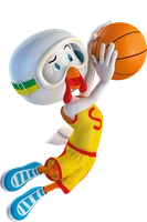 PROMOÇÃO Team Sadia NBA