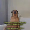 Avatar victor.hugovpm