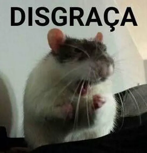 images.jpeg