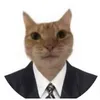 Avatar ninho_no
