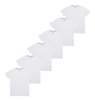 Kit Com 6 Camisetas X-temp Hanes 2535 Branco - R$57