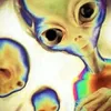 Avatar wlisses_sykes