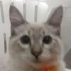 Avatar lucassena56