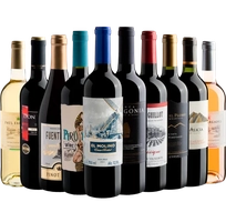 Kit 10 vinhos selecionados por R$199