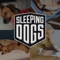 [Steam] Sleeping Dogs: Definitive Edition (Jogo + 24 DLCs) - PC