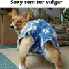 Avatar cesar_stenyo