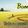 Avatar omundodadiversao_omundoda