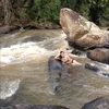 Avatar lauriana