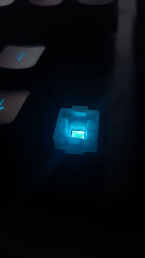 6660069-zVQ7c.jpg