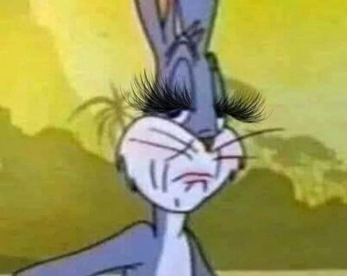 5444049-T14rV.jpg