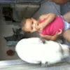 Avatar patricia_andrade
