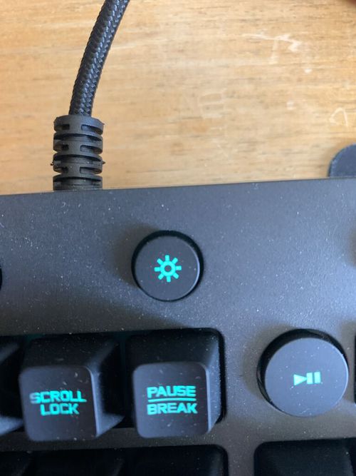 6949075.jpg