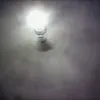 Avatar iago_silva13