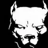 Avatar ivokranio0560