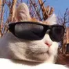 Avatar bwp
