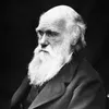 Avatar darth_darwin