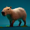 capivara_das_pechinchas
