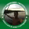 Avatar jucadamasio