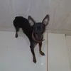 Avatar eterna_verdade